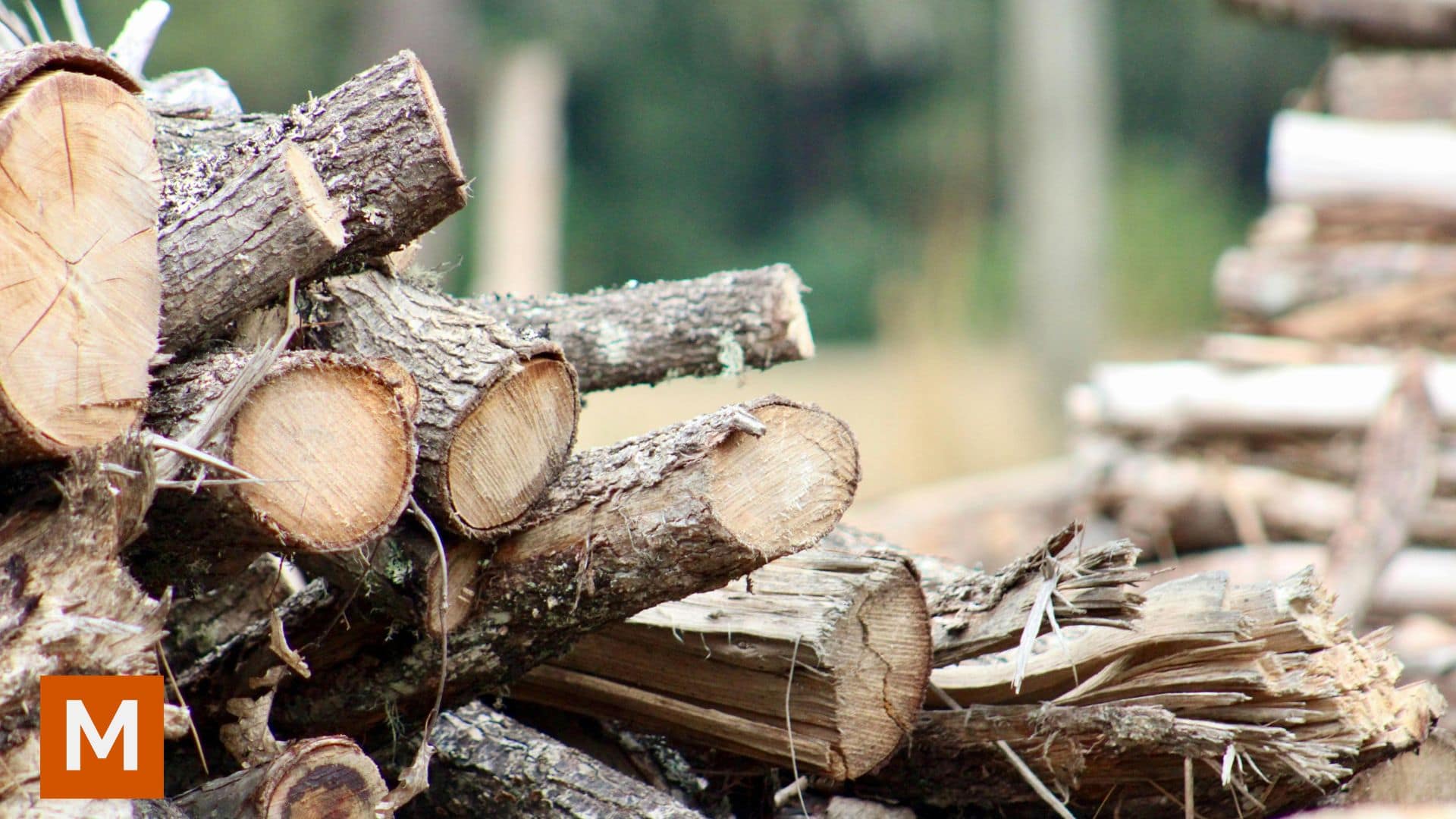 cena drva za centralno grejanje u Srbiji u 2005. je oko 60 evra po kubiku